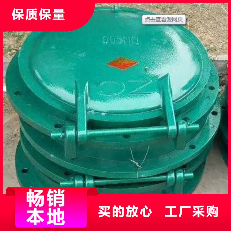 拍门球墨铸铁闸门源头厂家