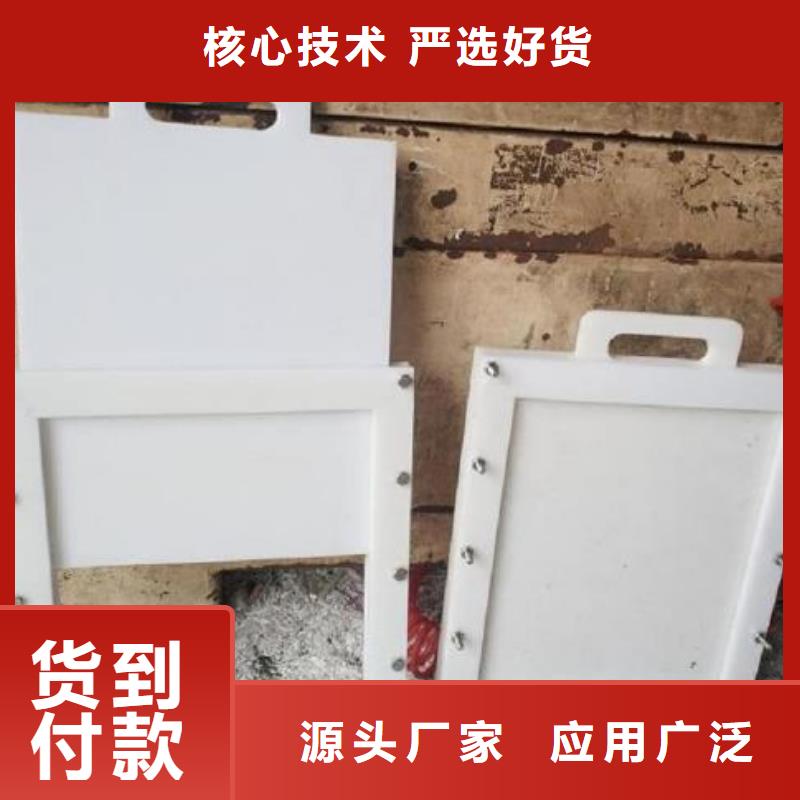 塑料闸门泵站铸铁闸门优质原料