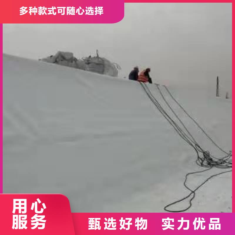 PVCPVC防水卷材现货销售