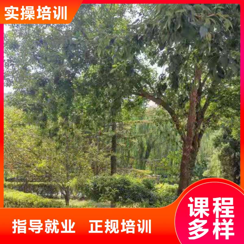 【烹饪培训学校】厨师培训学校就业前景好-市场覆盖|九台|双阳|延边|四平|吉林|通化|辽源-通金宝