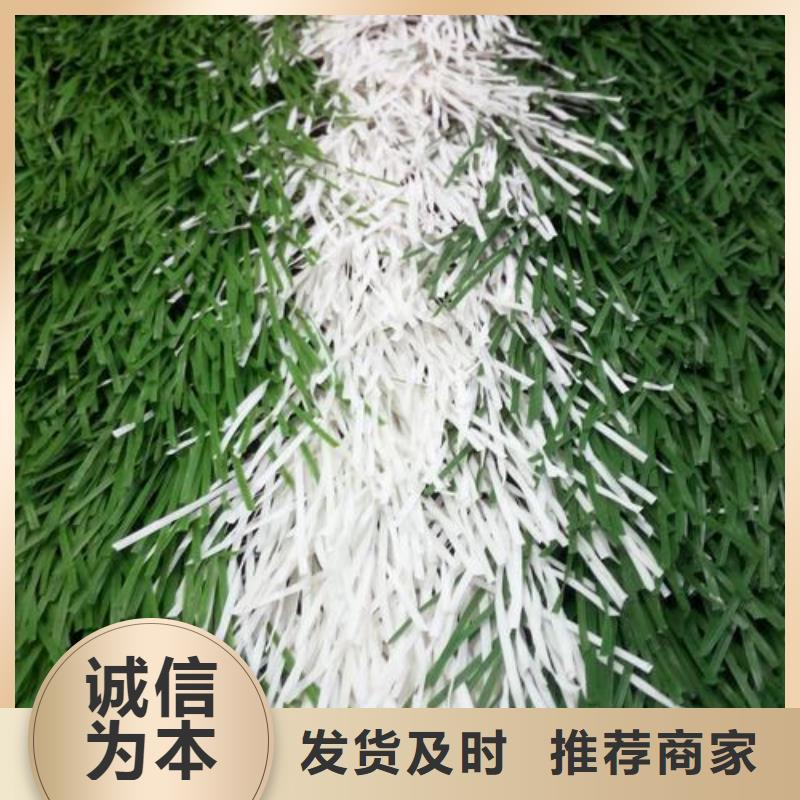 塑胶跑道塑胶跑道厂家实力雄厚品质保障