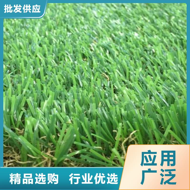 塑胶跑道_塑胶跑道厂家应用广泛