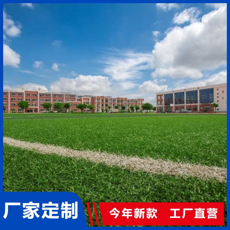 塑胶跑道学校塑胶跑道现货交易