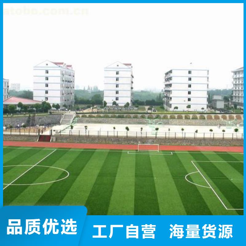 塑胶跑道_体育塑胶运动场匠心工艺