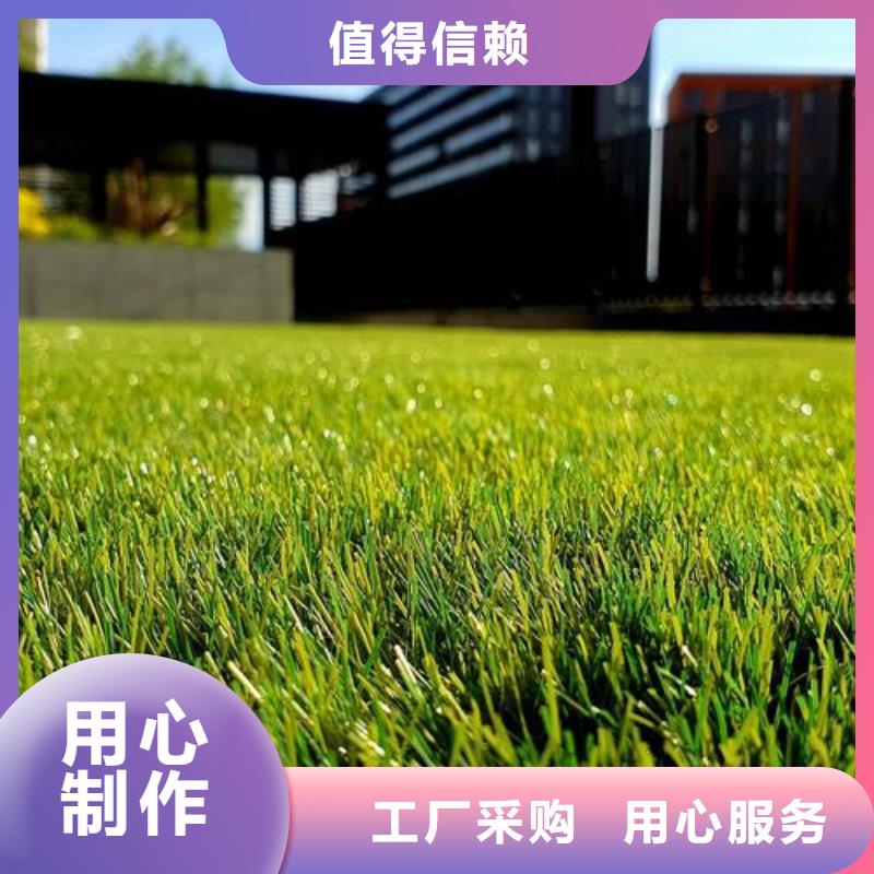 塑胶跑道,硅PU球场源头厂家直销