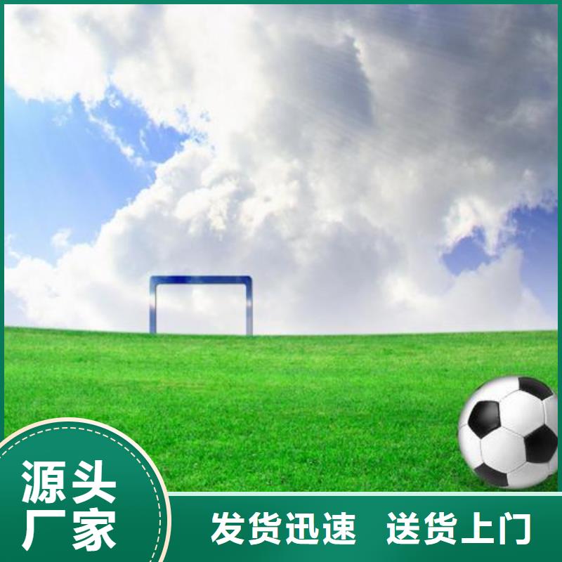 塑胶跑道_PVC地板厂家精工打造
