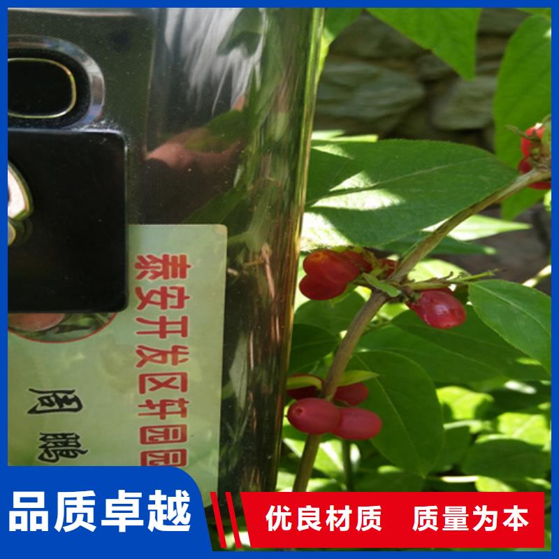 【 杈杷果-樱桃苗合作共赢】-可发货到自流井|沿滩|巴中|成都|泸州|遂宁