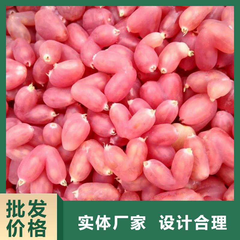 杈杷果_【石榴树】来图定制采购无忧