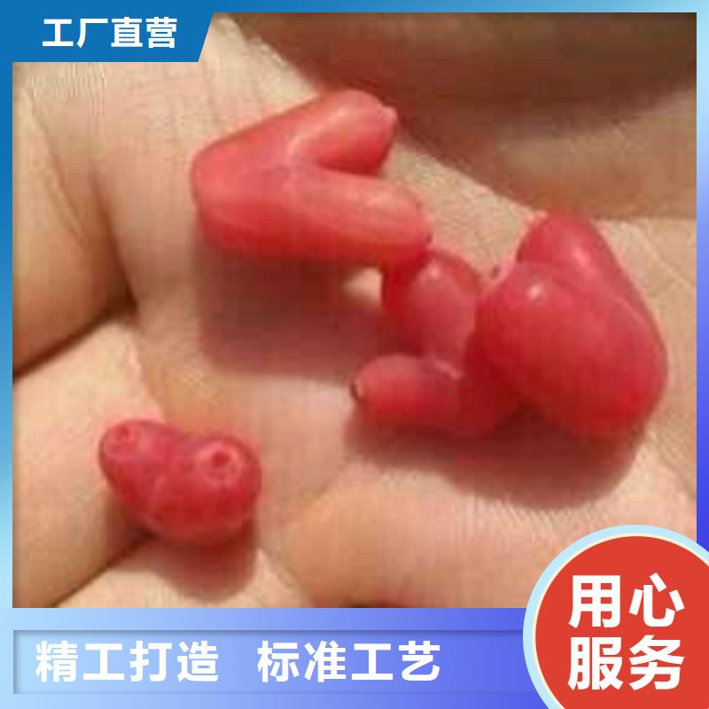 杈杷果_【石榴树】来图定制采购无忧