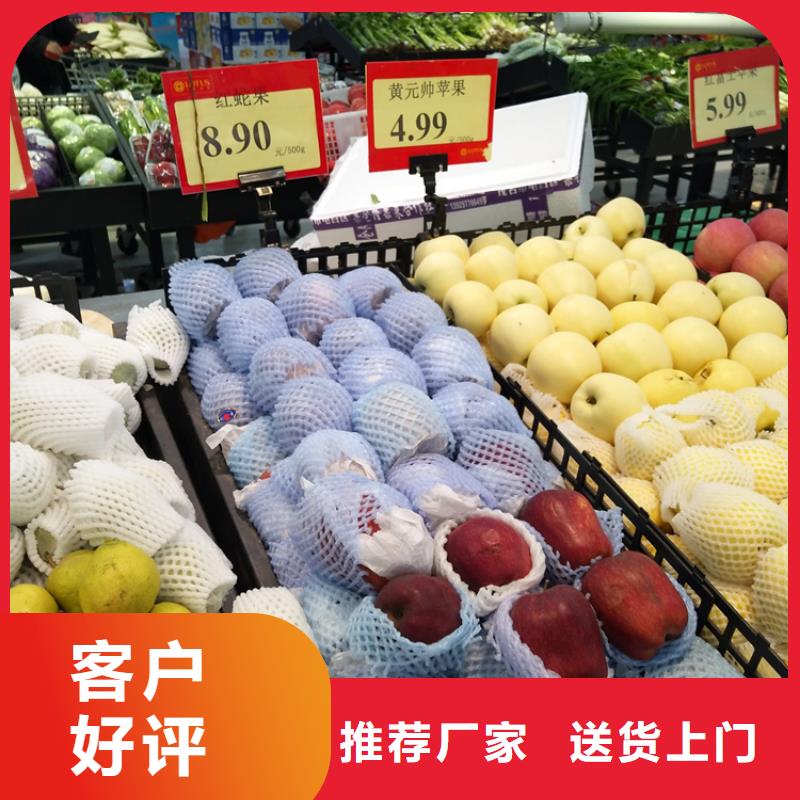 苹果【猕猴桃苗】品质信得过