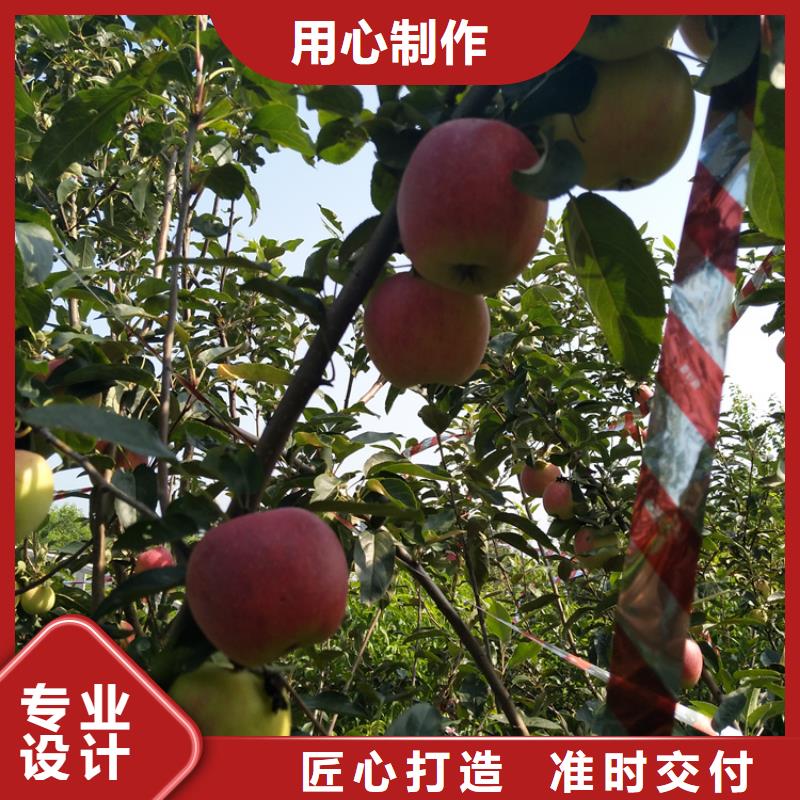 苹果_嘎啦苹果货源直销