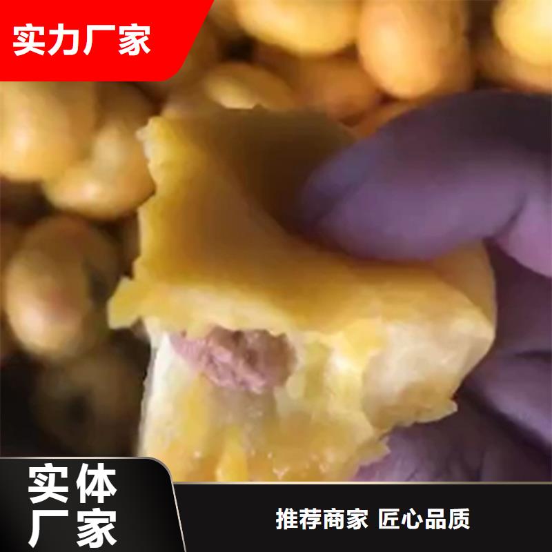 桃_苹果苗专注生产制造多年