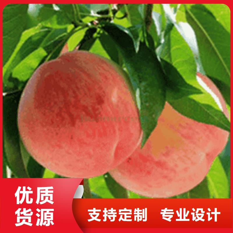 【桃石榴树厂家直销售后完善】