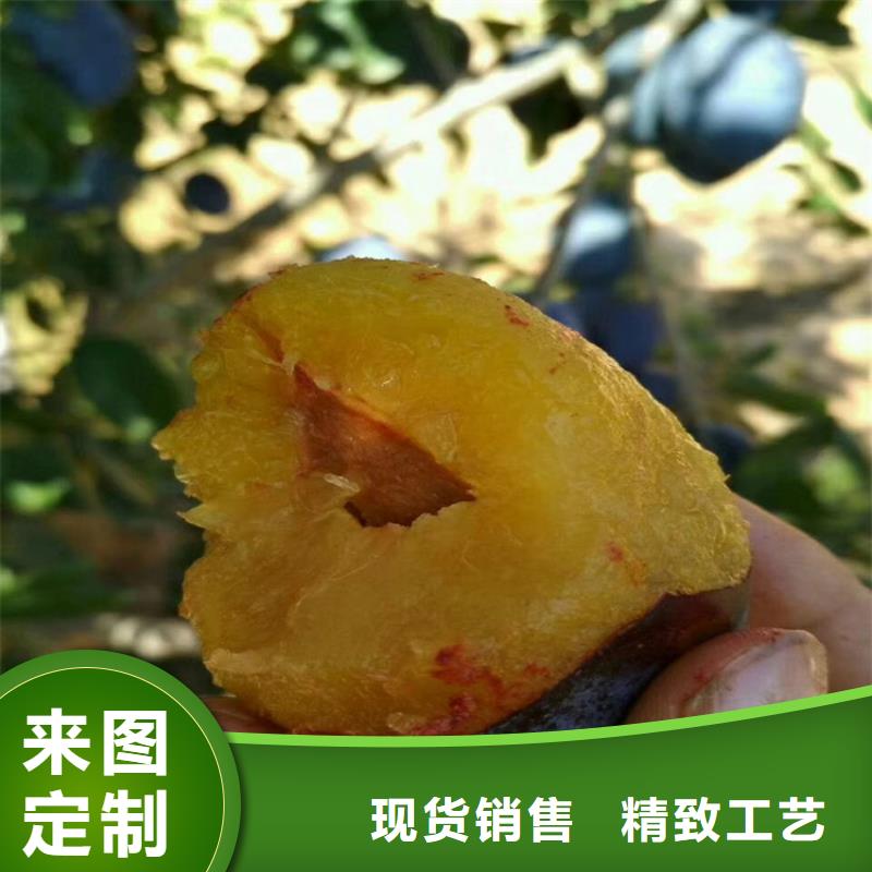 李子苹果苗一站式供应厂家