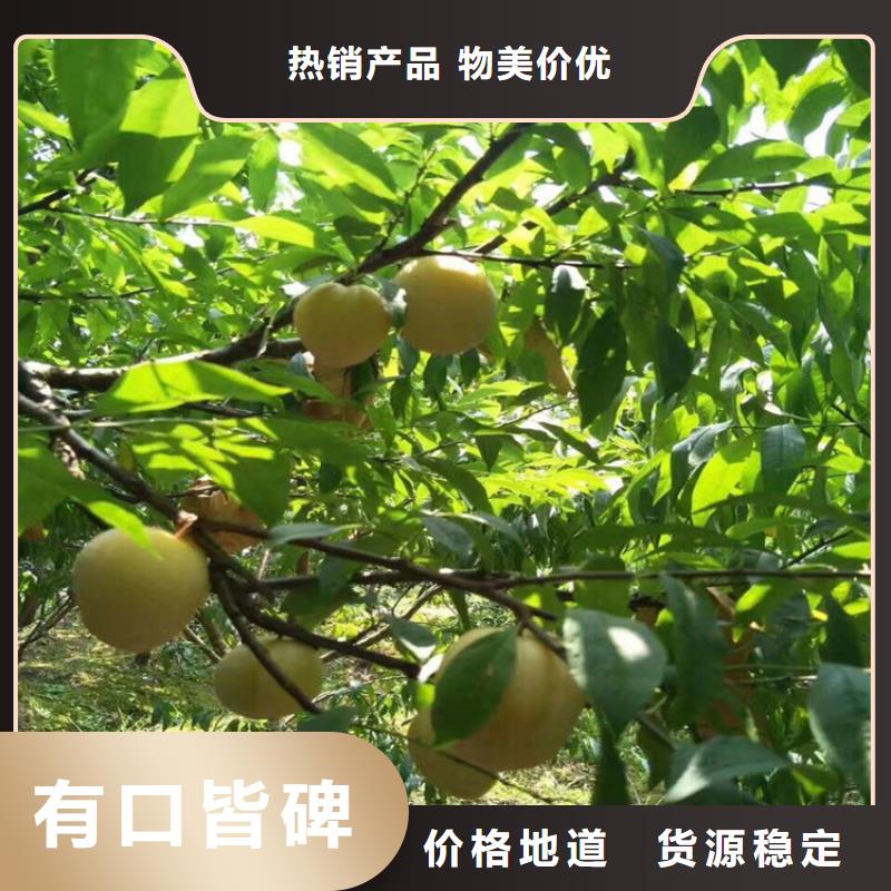 李子嘎啦苹果优质原料