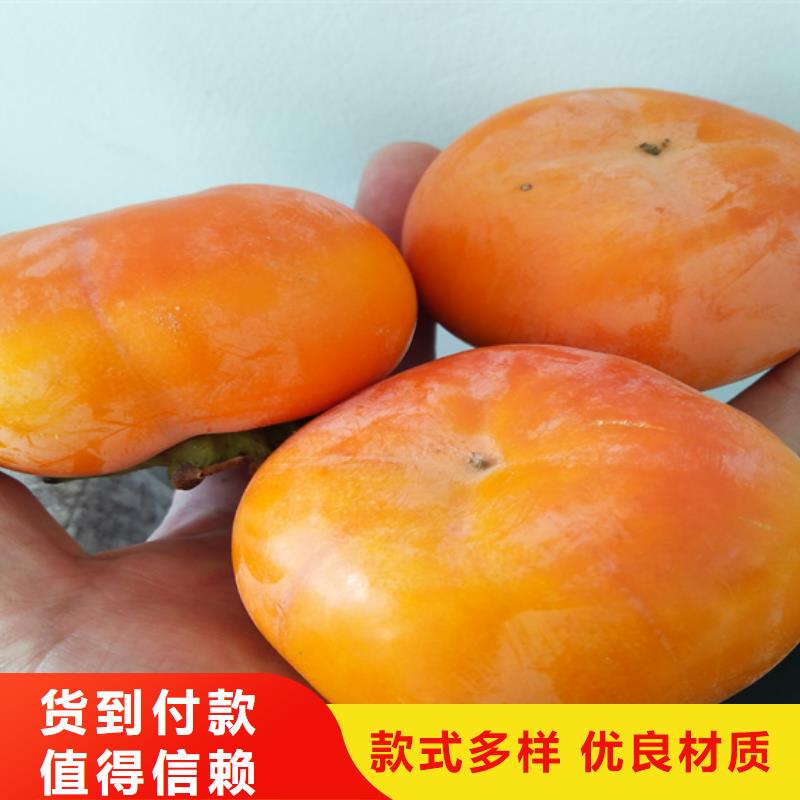 柿子 【石榴树】工程施工案例轩园杏树苗