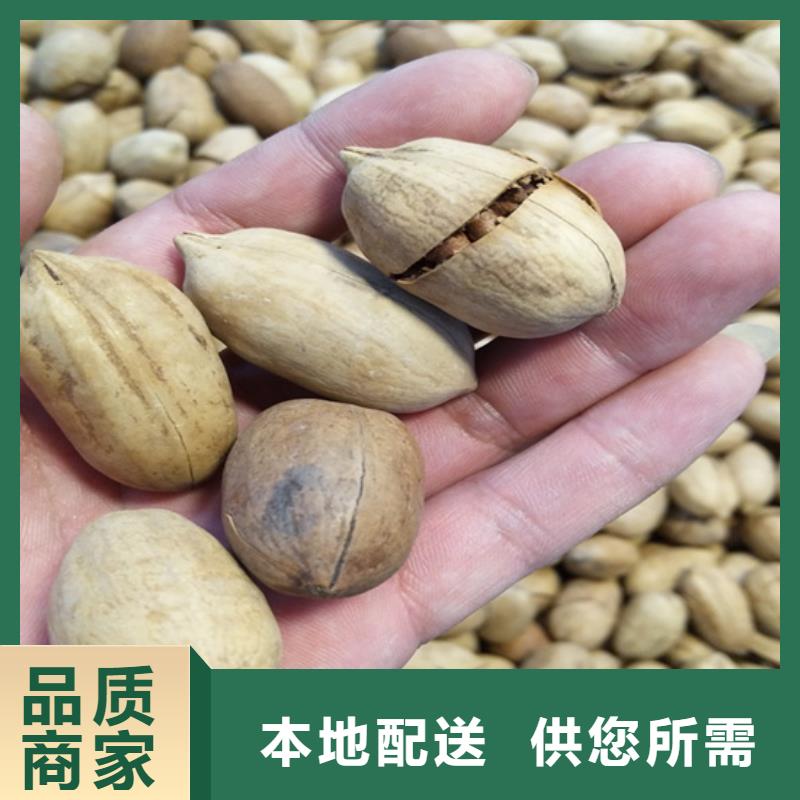 碧根果西瓜苗发货及时
