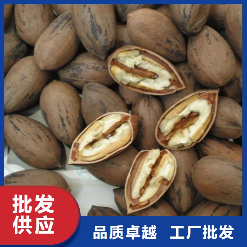 碧根果西瓜苗发货及时