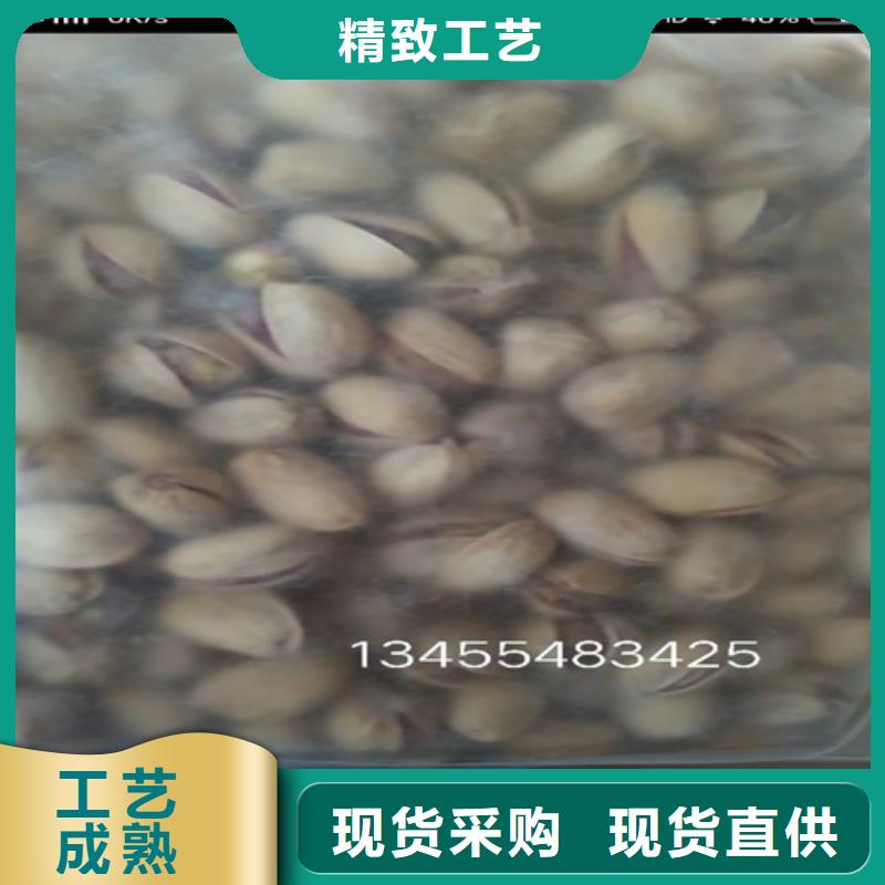 开心果树苗量多优惠