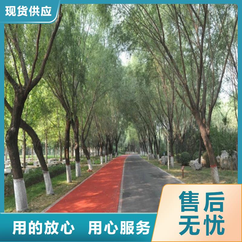 健身步道公园步道服务周到