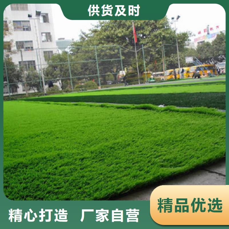 人造草坪学校塑胶跑道现货直发