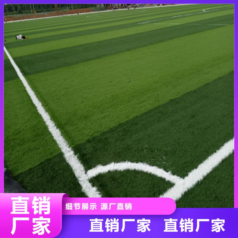 【人造草坪体育塑胶运动场可零售可批发】