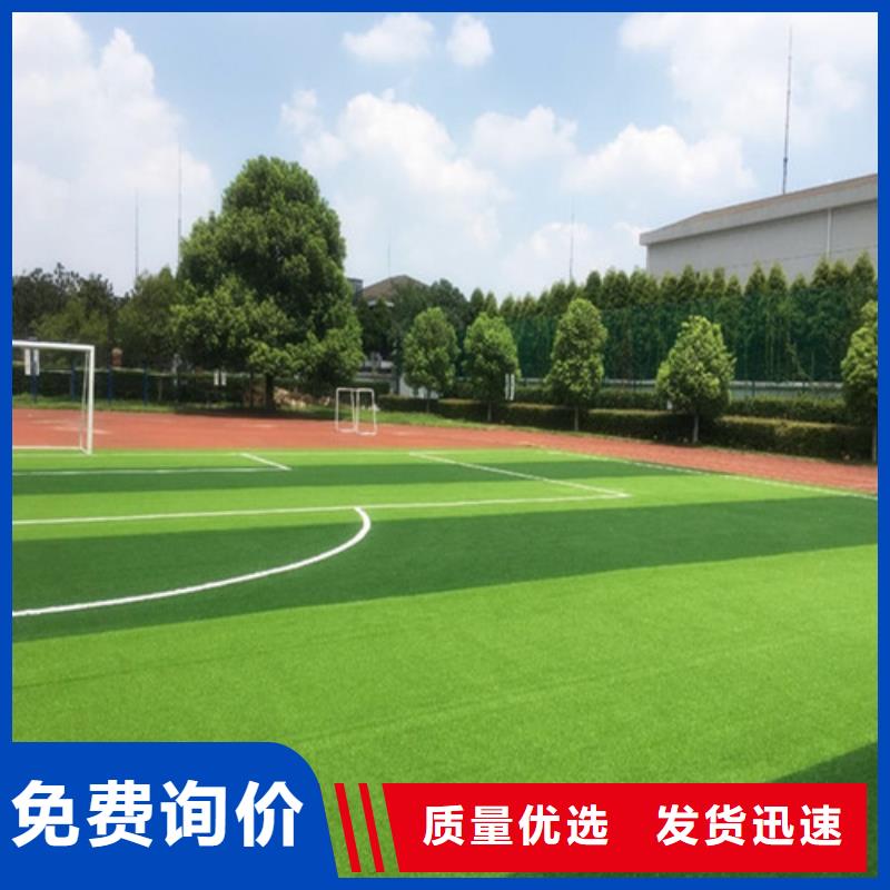 【 人造草坪_塑胶跑道品质无所畏惧】-百锐体育设施(黔西南市分公司)|覆盖地域兴仁|望谟|遵义|黔东南|铜仁|安顺|毕节|贵阳|黔南