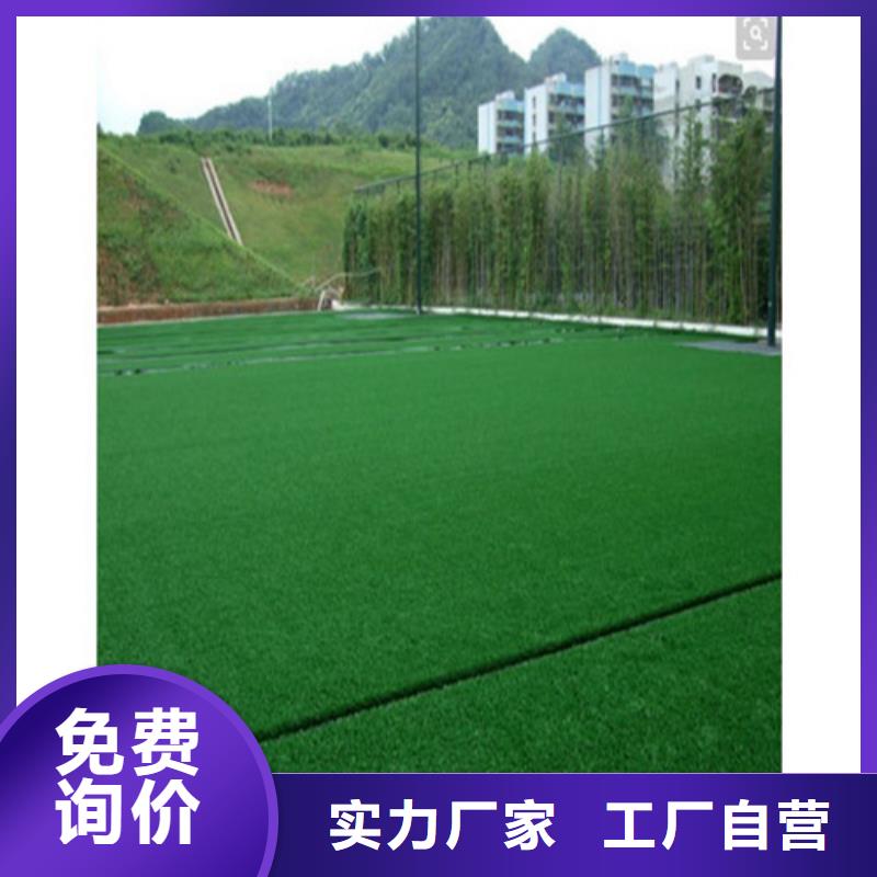 【人造草坪】PVC室内地坪海量货源