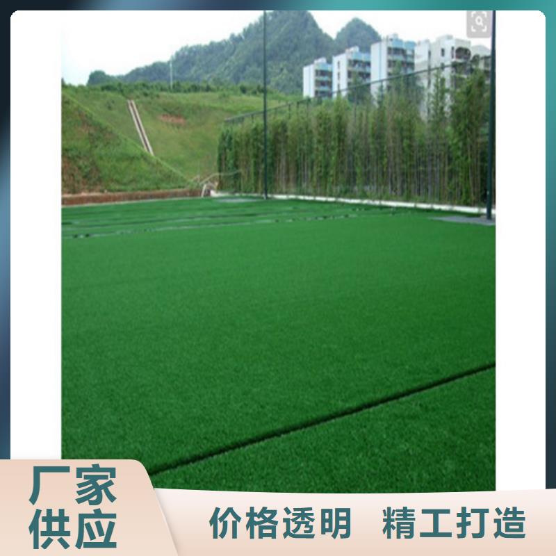 人造草坪【健身步道】精工细致打造