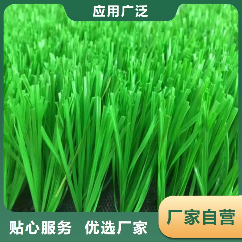 人造草坪塑胶跑道畅销本地