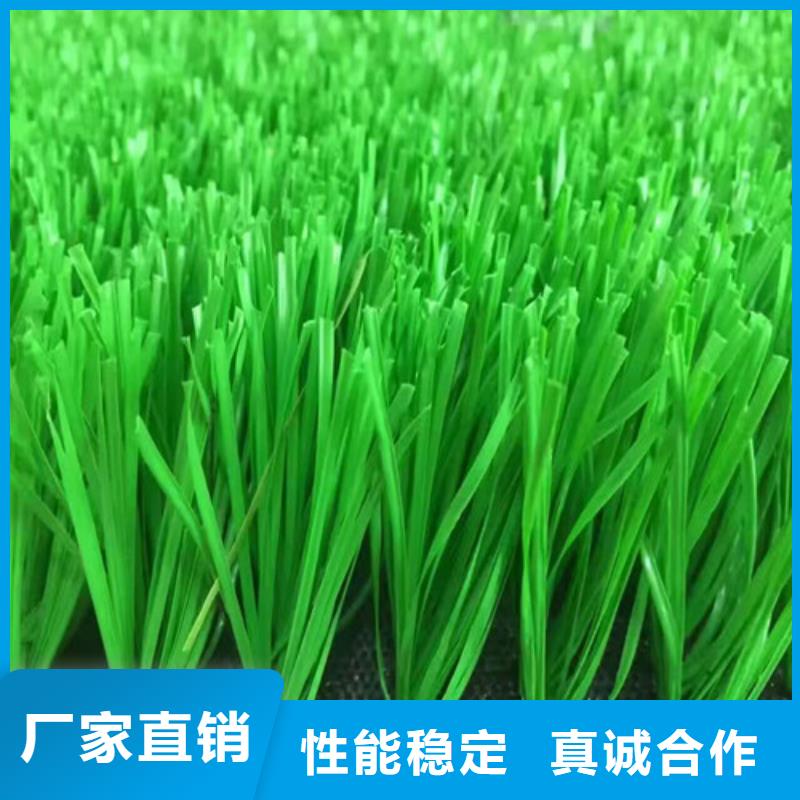 人造草坪【塑胶跑道】匠心品质