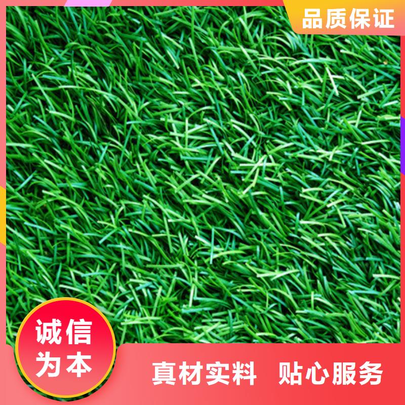 人造草坪【塑胶跑道】严格把关质量放心