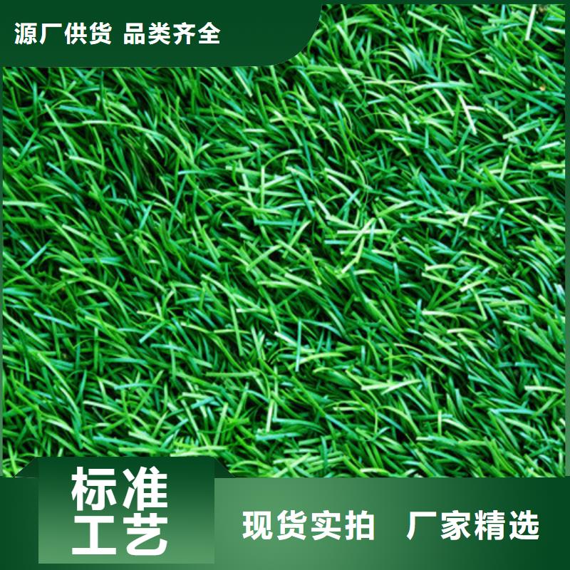 人造草坪,塑胶跑道保障产品质量