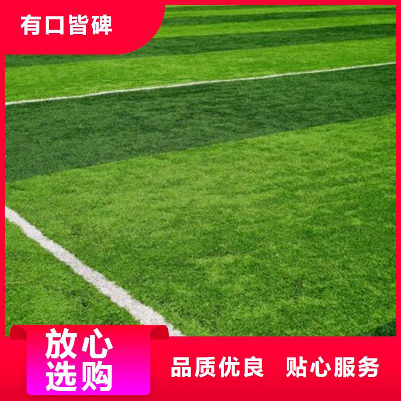 人造草坪塑胶跑道质量检测