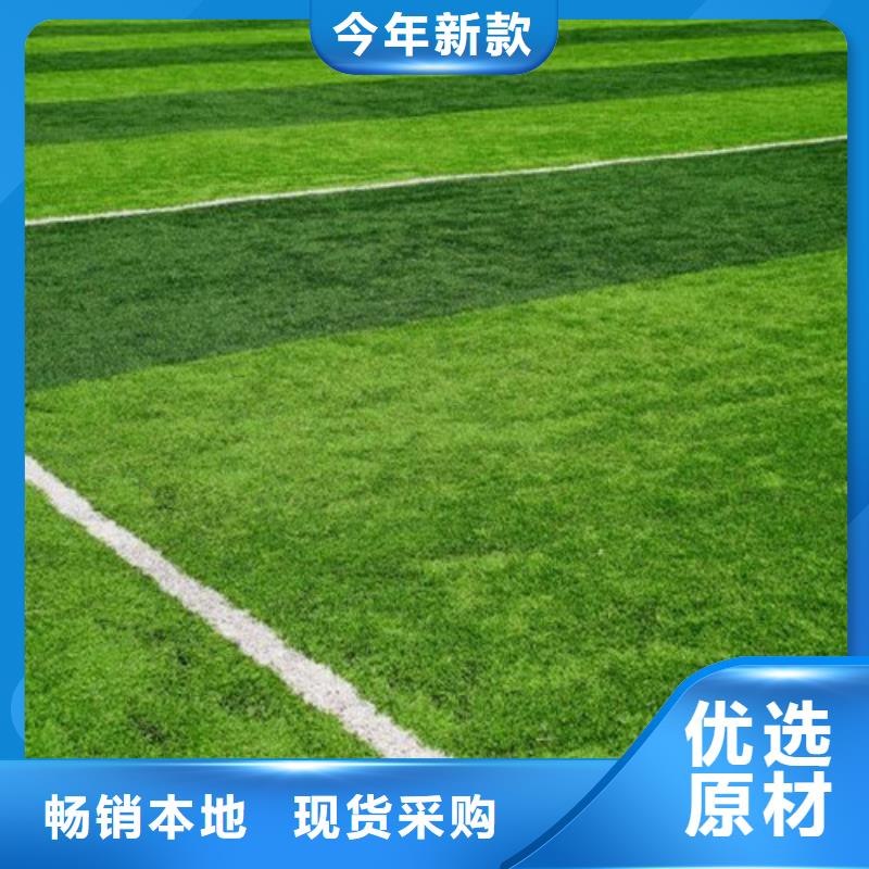  人造草坪放心选购