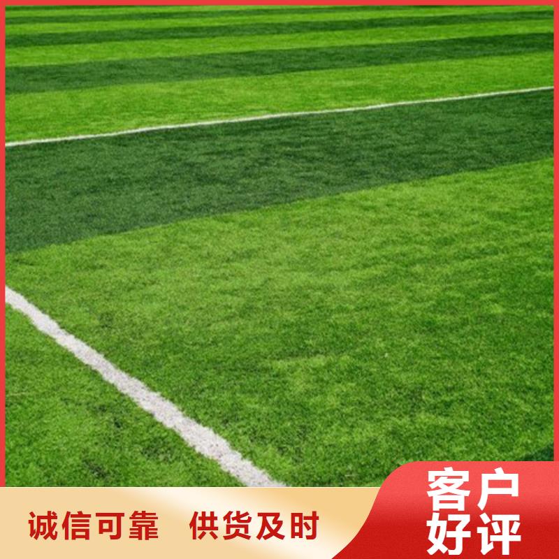 【人造草坪】-塑胶地坪精选厂家好货