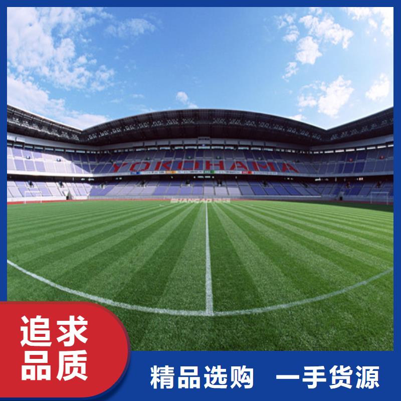 【人造草坪】,PVC室内地坪支持加工定制同城服务商