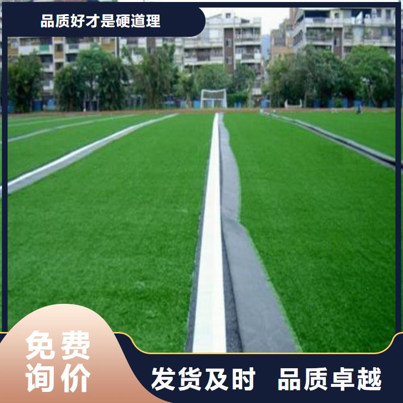 人造草坪 硅PU球场种类齐全