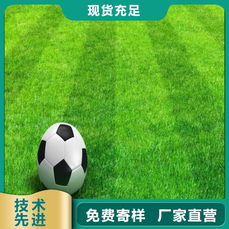 人造草坪硅PU球场源头厂源头货