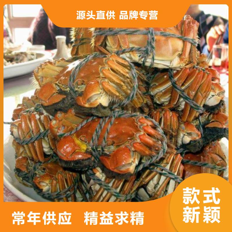 阳澄湖大闸蟹哪家正宗苏州莲花岛