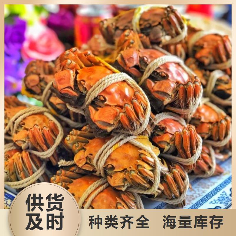 可定制的大闸蟹供应商