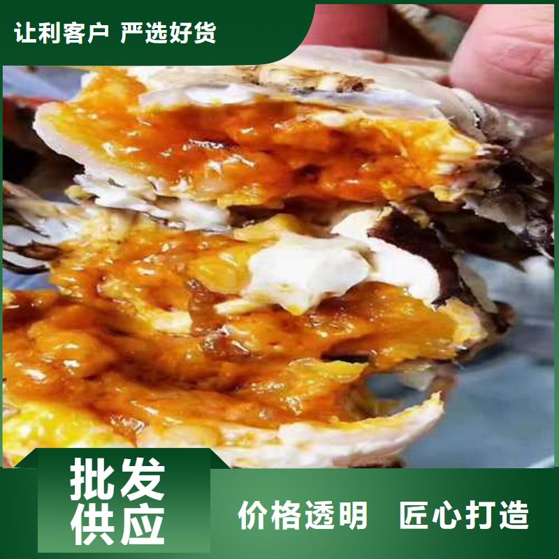 阳澄湖大闸蟹价格视频-太仓|虎丘|无锡|盐城|扬州|徐州顾记阳澄湖大闸蟹价格_ 阳澄湖镇岛顾记大闸蟹经营部(苏州市分公司)