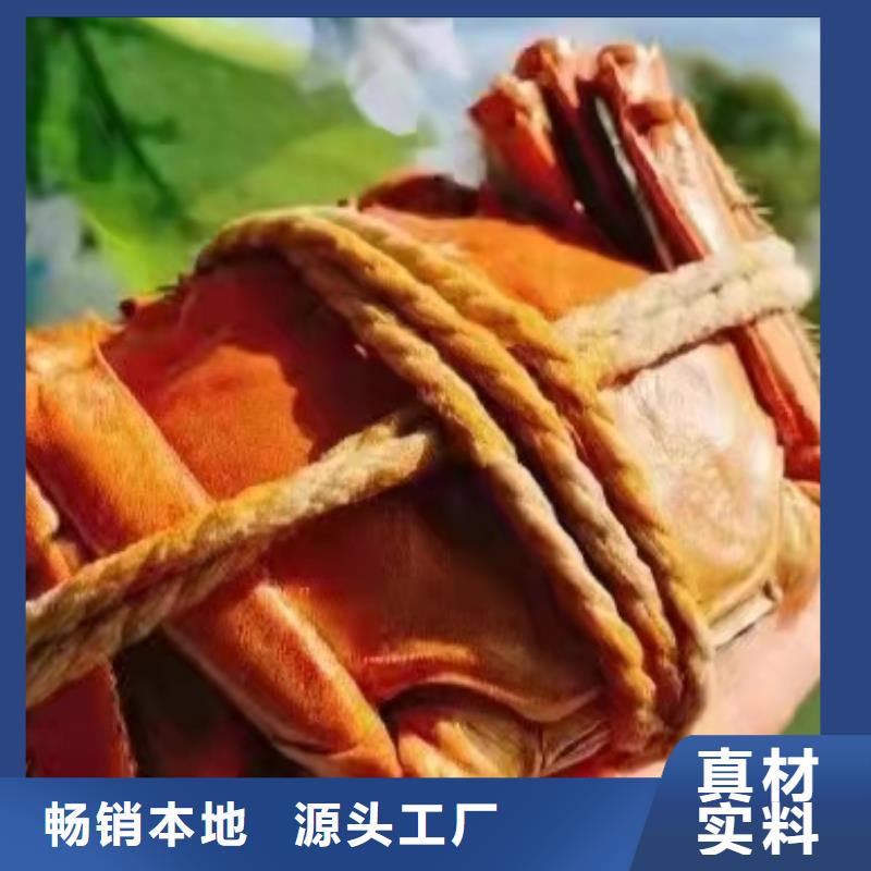 阳澄湖大闸蟹价格视频-阳澄湖大闸蟹价格-阳澄湖镇岛顾记大闸蟹经营部(阳江市分公司)服务区域阳春|阳东|珠海|揭阳|汕尾|东莞|中山
