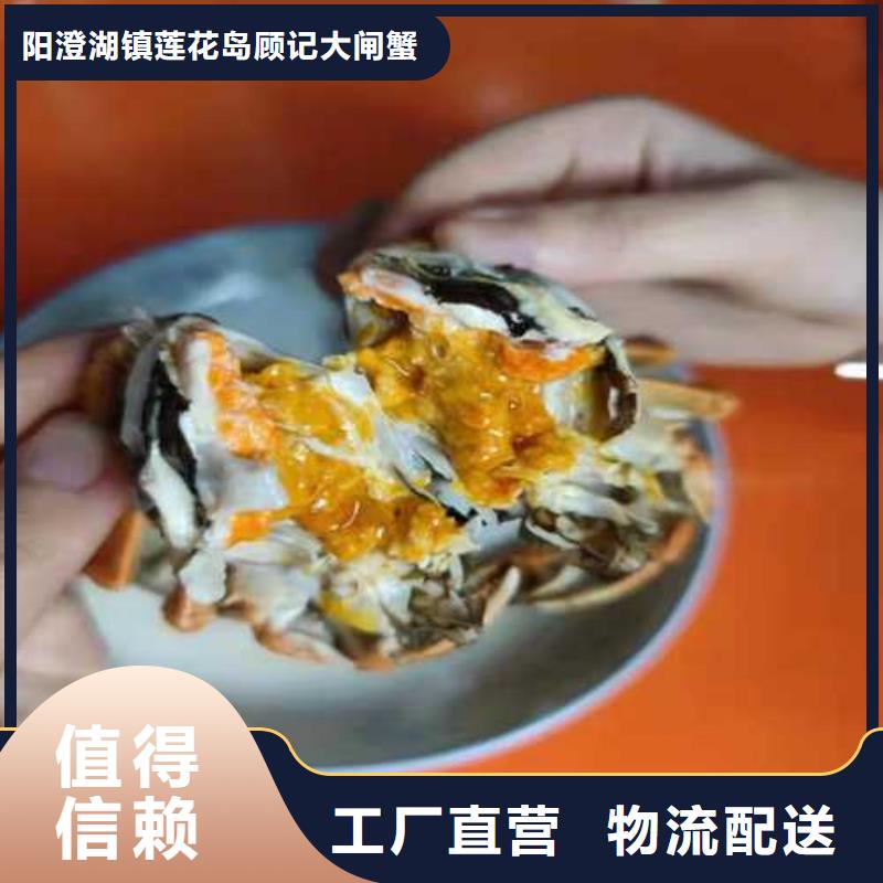阳澄湖大闸蟹价格视频-阳澄湖大闸蟹价格|玉溪市|易门|红塔|大理|文山|昆明|德宏|迪庆|怒江|普洱
