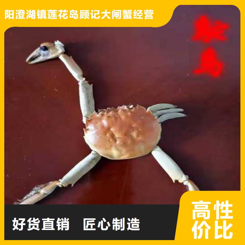 阳澄湖大闸蟹价格视频-阳澄湖大闸蟹价格|乌鲁木齐市|克拉玛依|伊犁
