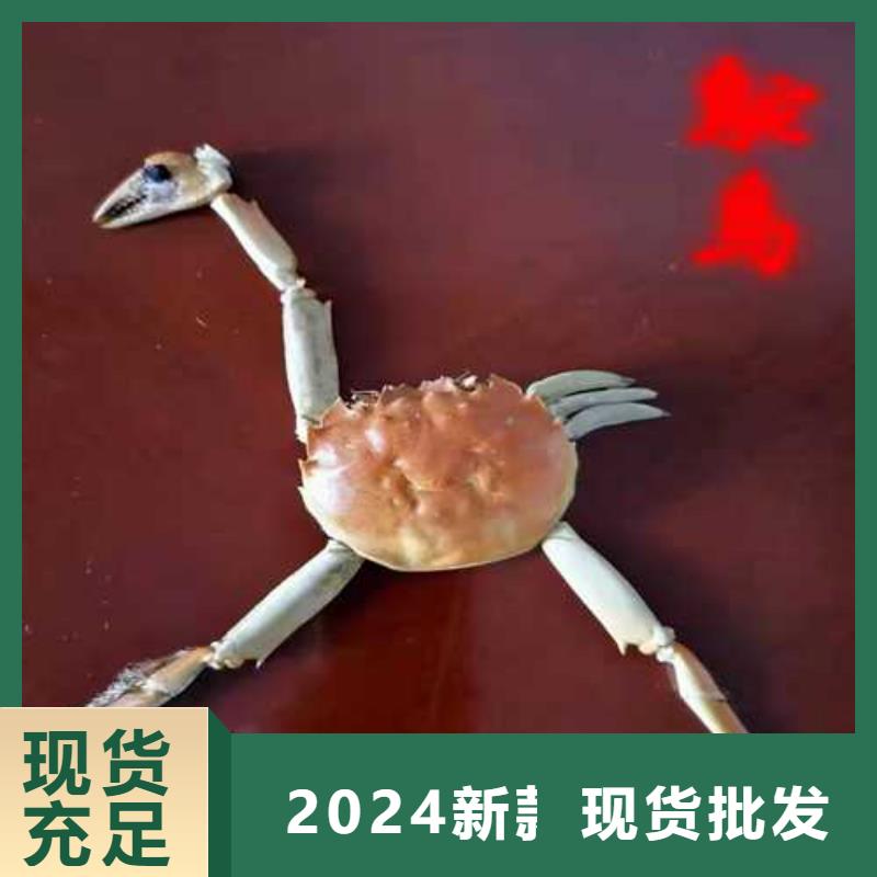 阳澄湖大闸蟹哪里比较好苏州莲花岛顾记蟹庄