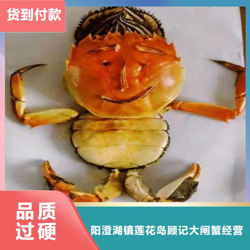 阳澄湖大闸蟹价格视频-太仓|虎丘|无锡|盐城|扬州|徐州顾记阳澄湖大闸蟹价格_ 阳澄湖镇岛顾记大闸蟹经营部(苏州市分公司)