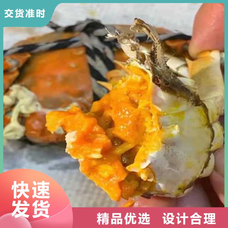 一致好评产品【大闸蟹】,阳澄湖大闸蟹性价比高