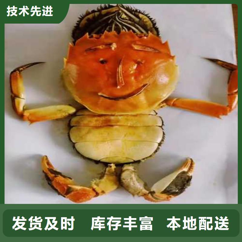 阳澄湖蟹哪里正宗好吃苏州莲花岛顾记蟹庄