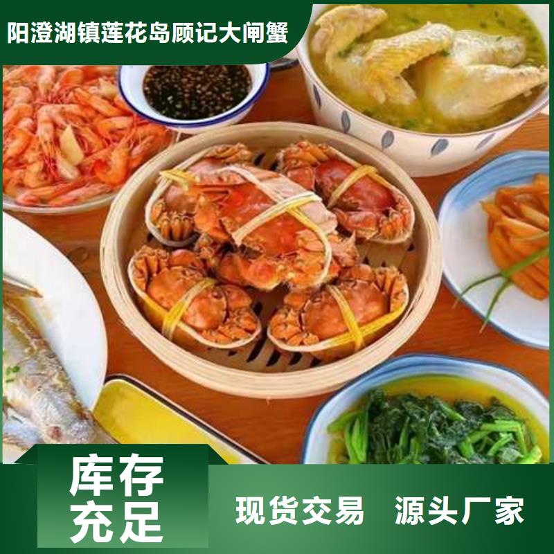 宁强县阳澄湖莲花岛环境